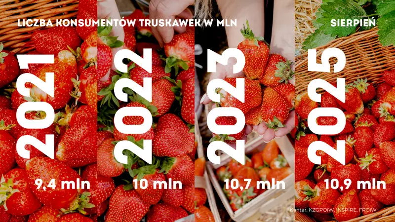 Rekordowy popyt na truskawki w sierpniu 2025