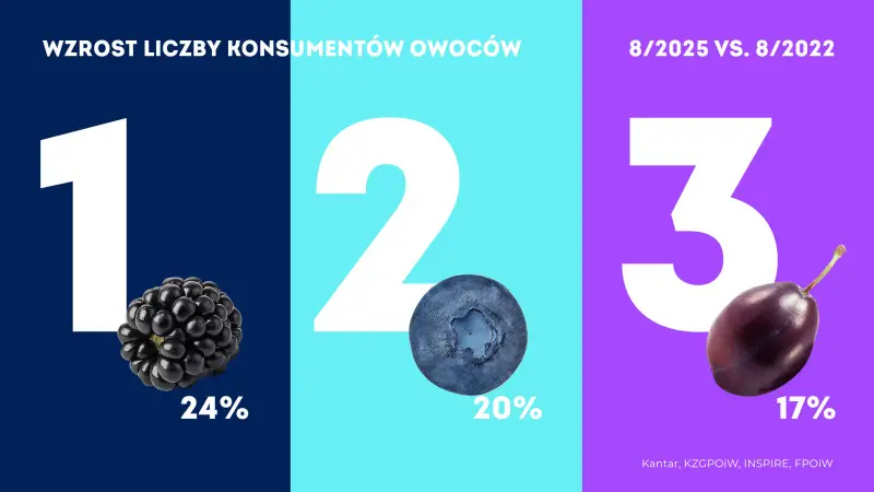 Polacy jedzą coraz więcej jeżyn – rekordowe wyniki konsumpcji