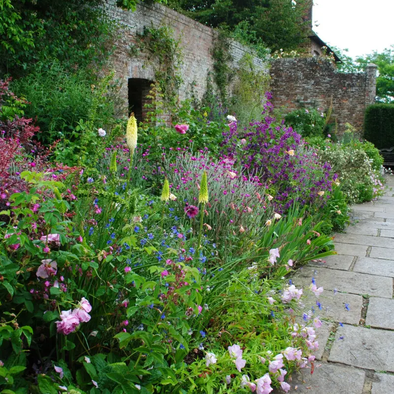 Kwitnąca czerwcowa rabata w angielskim ogrodzie Sissinghurst Castle