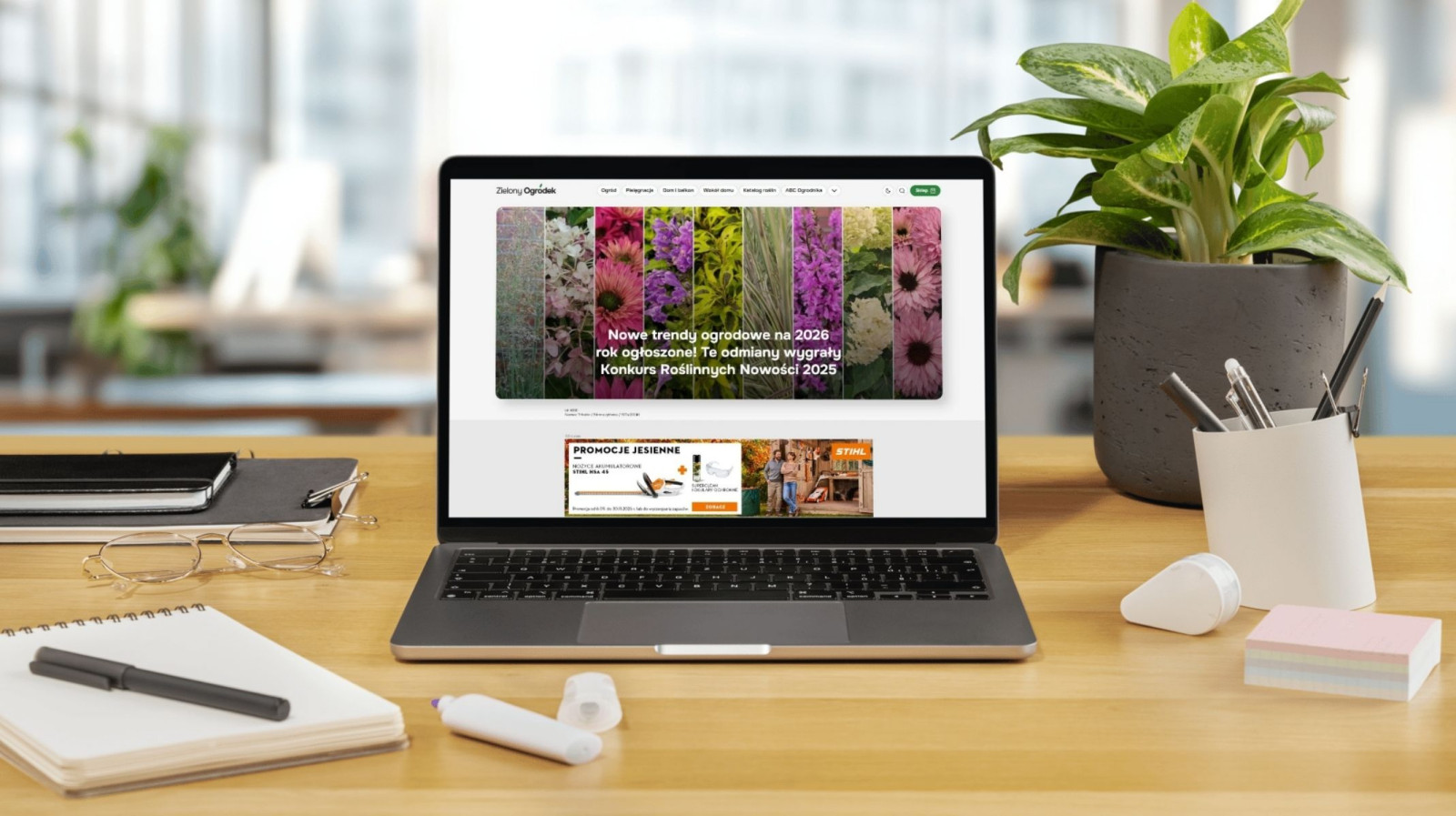 ZielonyOgrodek.pl cytowany przez AI Overview. Dlaczego Google tak lubi nasz portal ogrodniczy?