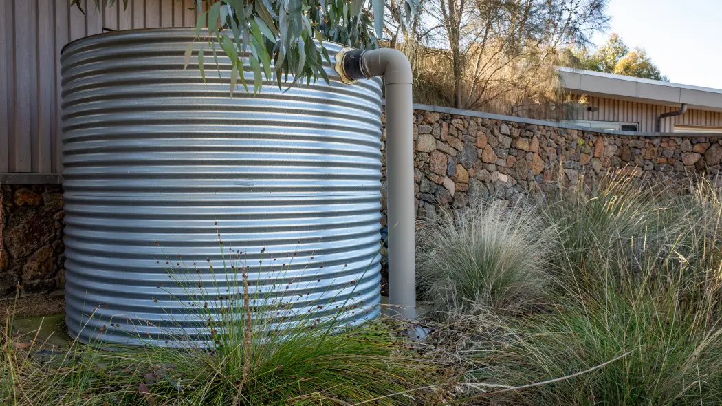 Szara woda do podlewania roślin. Jak można wykorzystać szarą wodę w ogrodzie?