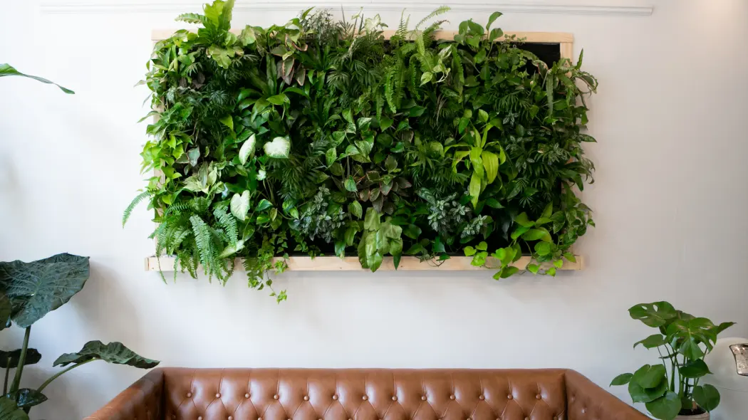 Domowy ogród wertykalny w mieszkaniu
