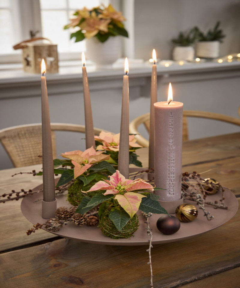 Adwentowa dekoracja stołu z kremowo-różowymi poinsecjami w kokedamach i świecami na okrągłej tacy