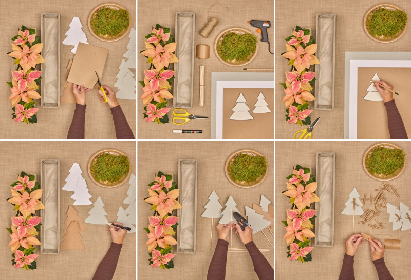 Kalendarz adwentowy z poinsecjami - krok po kroku