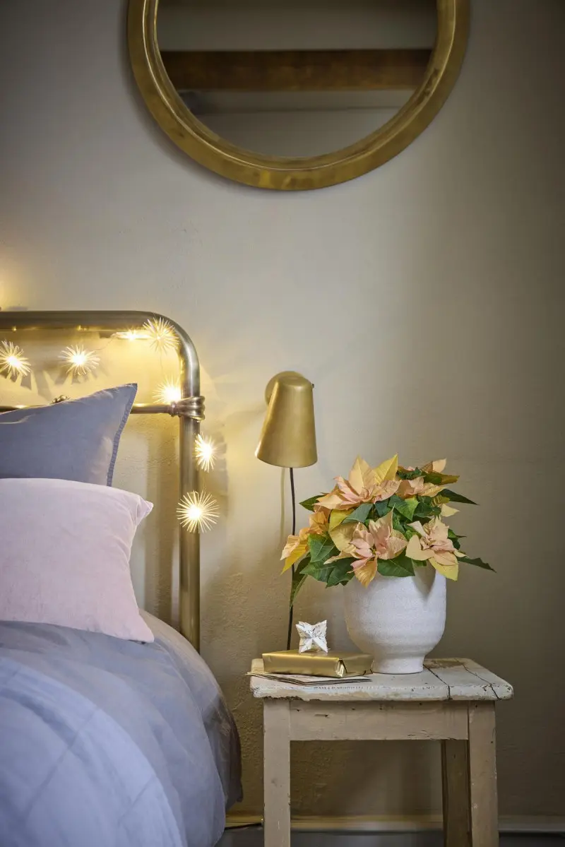 Świąteczna aranżacja sypialni z pastelową poinsecją w białej donicy na stoliku nocnym obok łóżka