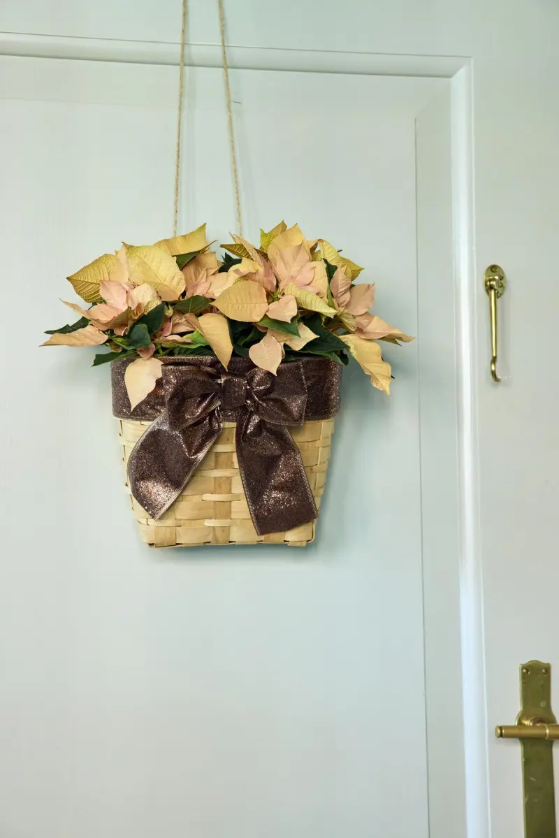 Wisząca dekoracja świąteczna z jasnoróżowymi poinsecjami w wiklinowym koszu z brązową kokardą