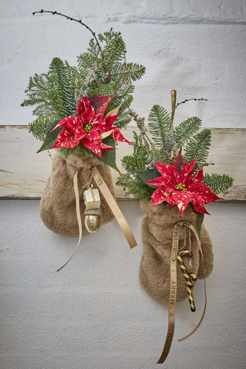 Świąteczna dekoracja z czerwonymi poinsecjami i gałązkami świerku w futrzanych skarpetach ozdobnych
