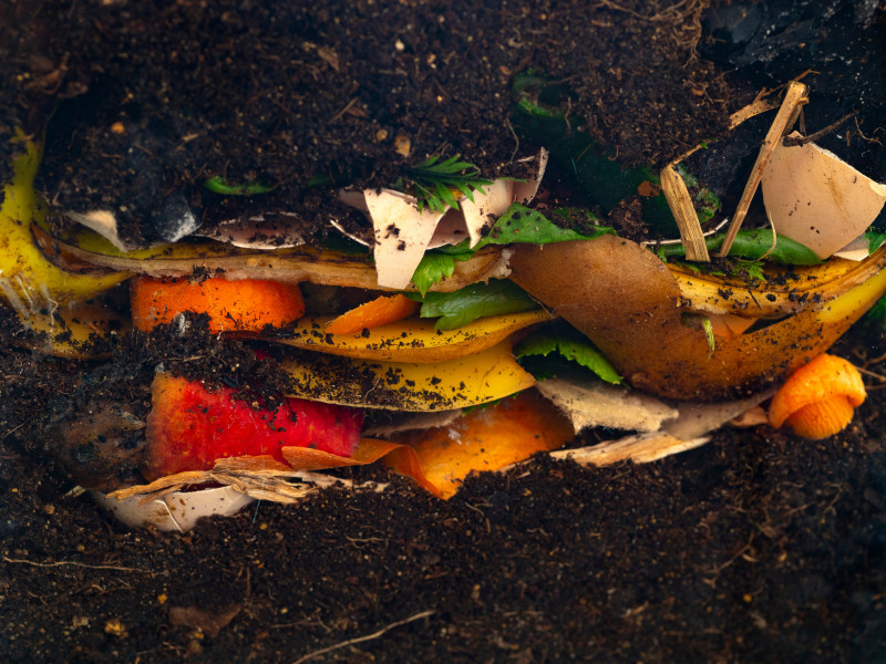 Zakopane w ziemi resztki kuchenne – skórki owoców, warzyw i skorupki jaj jako naturalny nawóz w ogrodzie