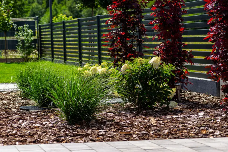 Nowoczesny przedogródek – trawy ozdobne i hortensje przy ogrodzeniu, ściółka z kory.