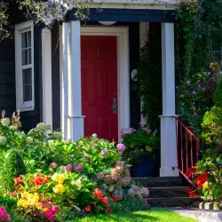 Co sadzić na przedogródku? Rośliny, które robią pierwsze wrażenie i zasada trójek