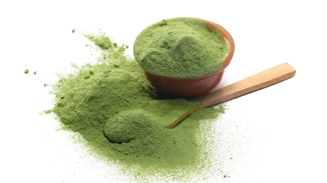 Młody jęczmień – czy naprawdę warto? Sprawdzamy, co go wyróżnia