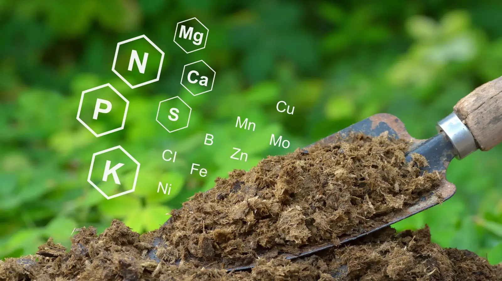 Obornik bydlęcy, kurzy czy koński? Rodzaje oborników i ich zastosowanie
