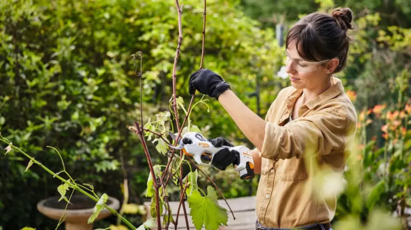 Kobieta przycina pędy roślin w ogrodzie za pomocą akumulatorowego sekatora STIHL ASA 20