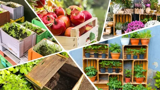 Masz skrzynki po owocach? Zrób z nich ogródek na balkon i taras