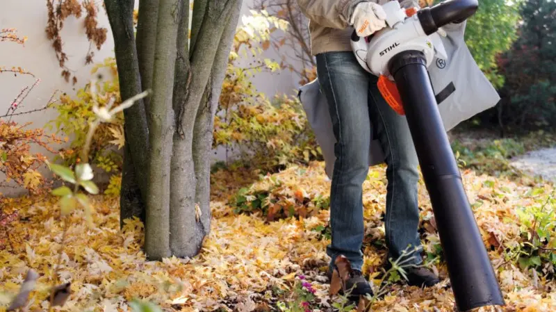 Osoba usuwa liście w ogrodzie za pomocą odkurzacza ogrodowego STIHL SH 56 z workiem na odpady.
