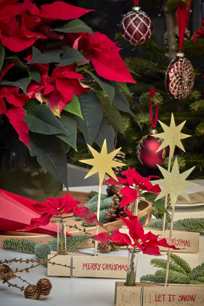 Świąteczna dekoracja stołu z czerwonymi poinsecjami w mini wazonikach, złotymi gwiazdami i napisem Merry Christmas na tle choinki.