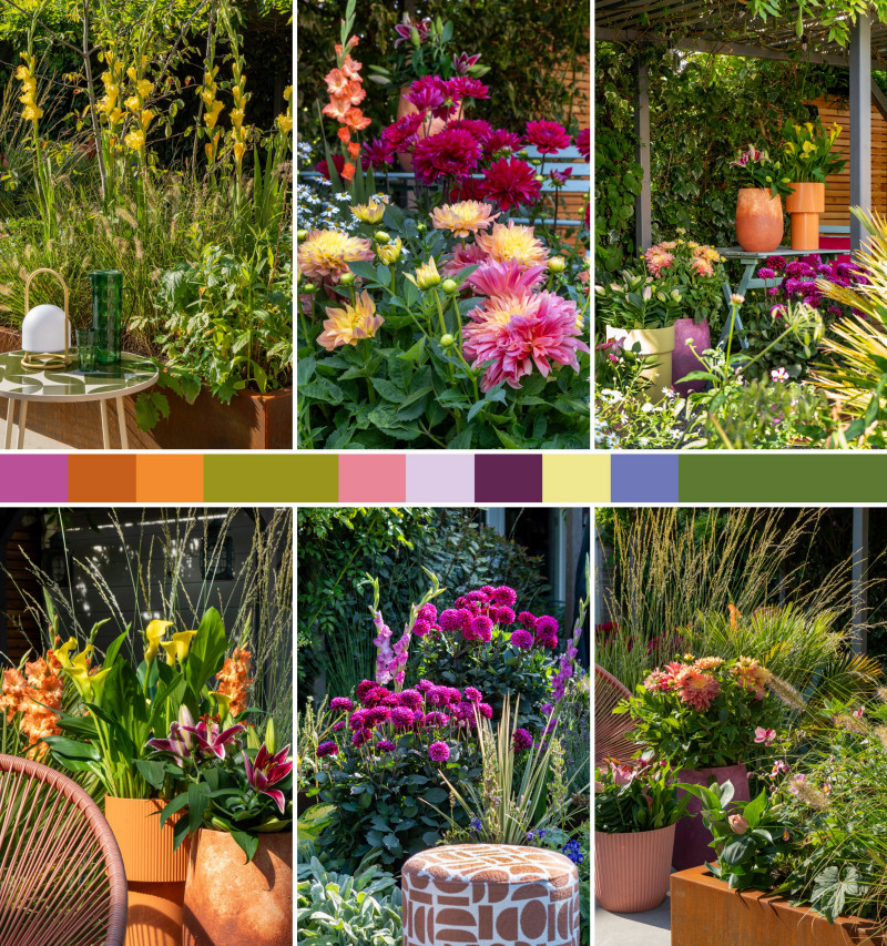 Odważne kwitnienie - Bold Blooms - trendy ogrodnicze 2026. Letnie kwiaty cebulowe