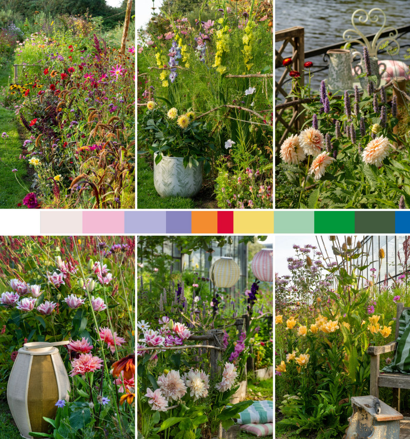 Kwiecista nostalgia - Nostalgic Revival - trendy ogrodnicze 2026. Letnie kwiaty cebulowe