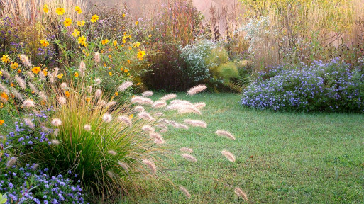 Jesienna rabata bez wysiłku? Oto 3 sprawdzone rośliny, które są kolorowe, niezawodne i łatwe w uprawie
