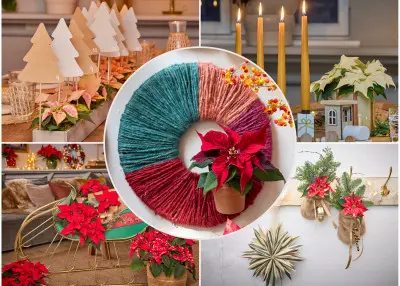 Święta z gwiazdami? Naturalnie! Oto 30 najmodniejszych aranżacji z poinsecją