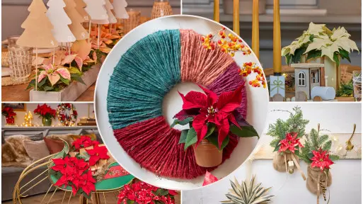 Święta z gwiazdami? Naturalnie! Oto 30 najmodniejszych aranżacji z poinsecją