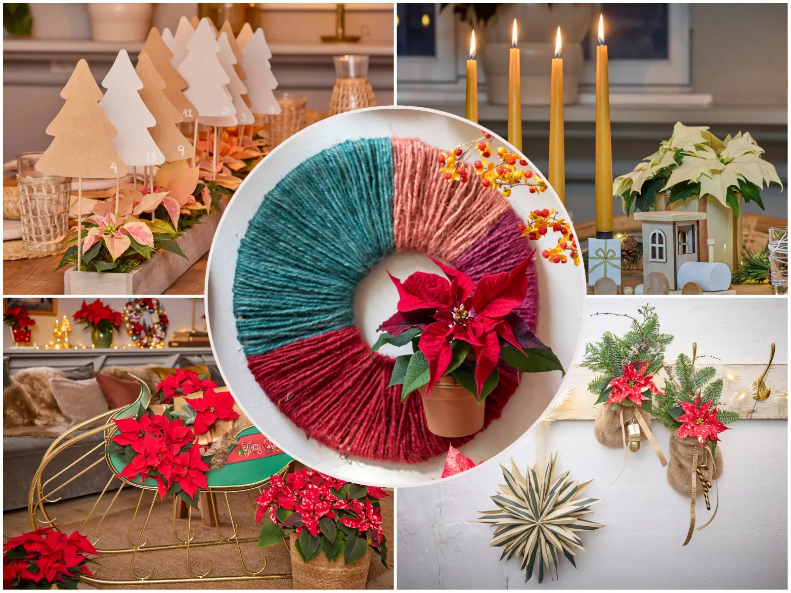 Co zrobić, by Święta były inne niż zwykle? Postaw na gwiazdy i zobacz 30 pomysłów na dekoracje