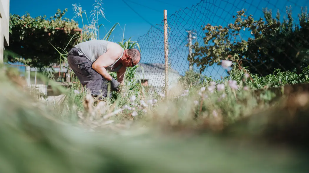 Jesienne prace ogrodowe – pielęgnacja roślin na rabacie