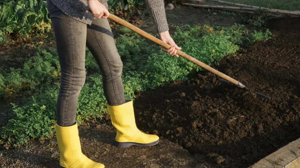 Jak przygotować glebę na nowy sezon? Zrób to, zanim chwyci mróz