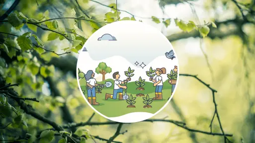 Mikrolas Miyawaki. Co to jest i jak go założyć?