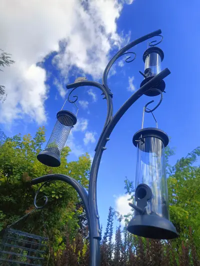 Jadłodajnia dla ptaków