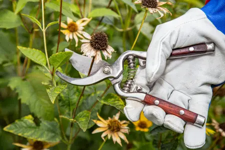 Sekator nożycowy Premium PROLINE