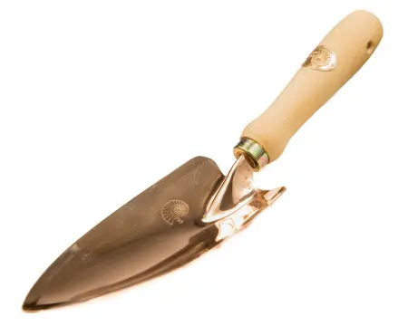 Szpadelek miedziany Castor