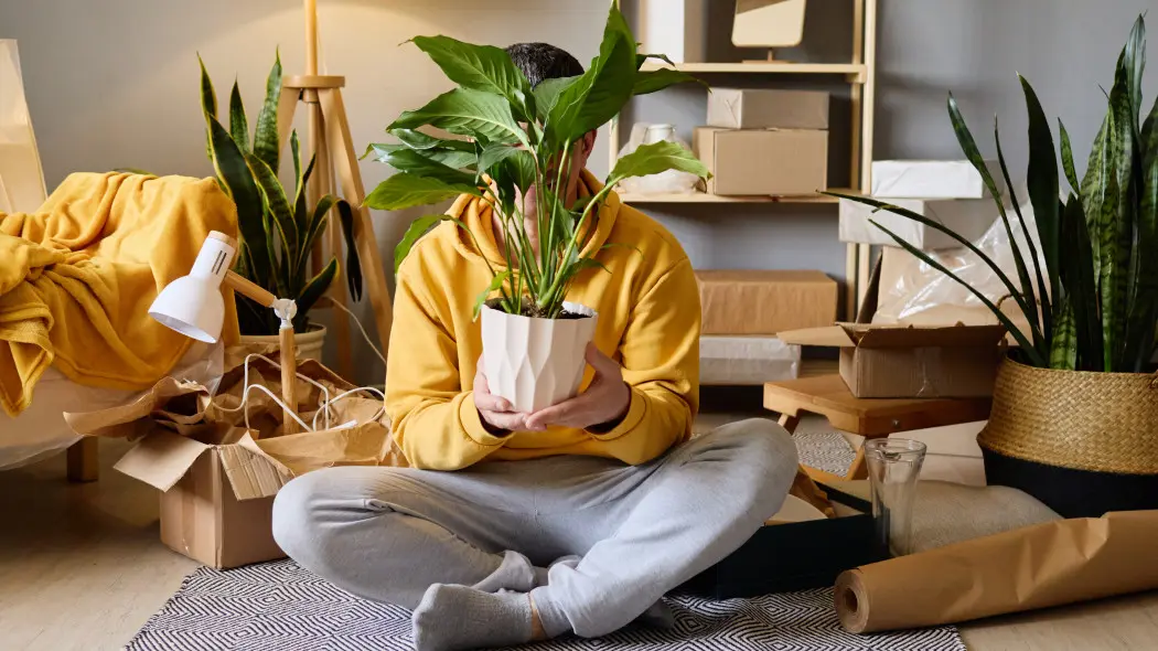 Nie zamiokulkas, ani monstera. AI wybrało ulubioną roślinę doniczkową Polaków