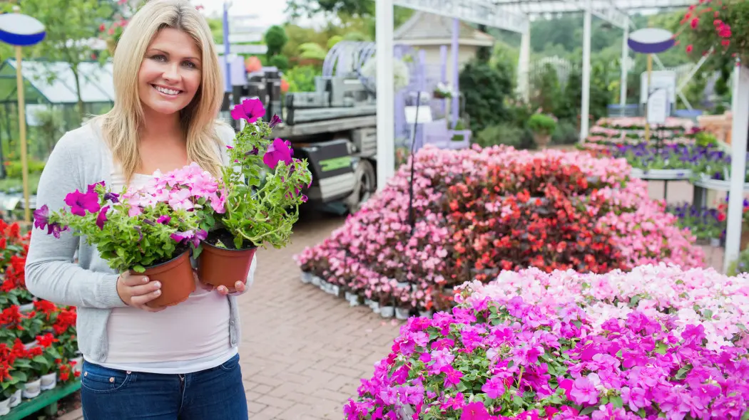 Nie pelargonia, ani begonia. AI wybrało ulubiony kwiat balkonowy Polaków