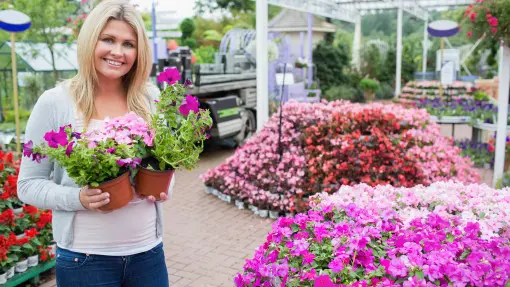 Nie pelargonia, ani begonia. AI wybrało ulubiony kwiat balkonowy Polaków