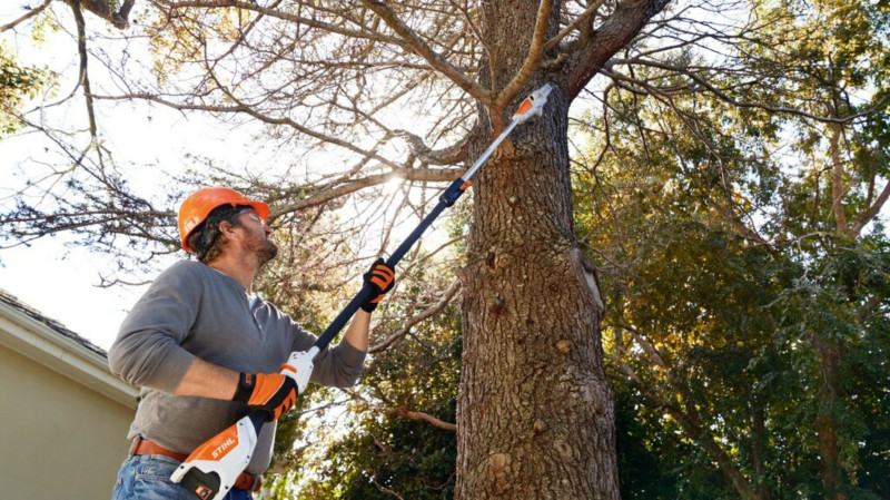 Podkrzesywarka STIHL HTA 50