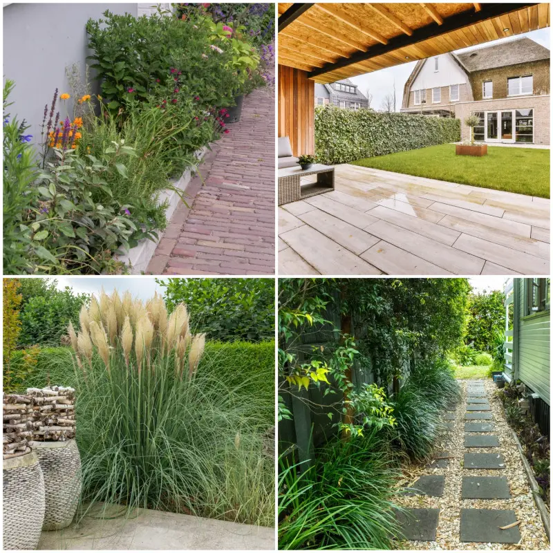 Aranżacje z roślin przy płocie w małym ogrodzie