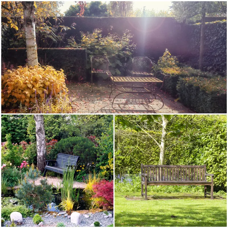 Aranżacje z roślin przy płocie w narożniku ogrodu