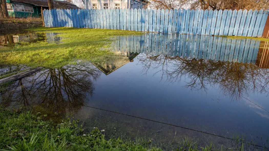 Trawnik zalany po deszczu