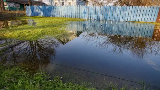 Co zrobić, gdy woda stoi na trawniku? Jak uratować zalany trawnik?