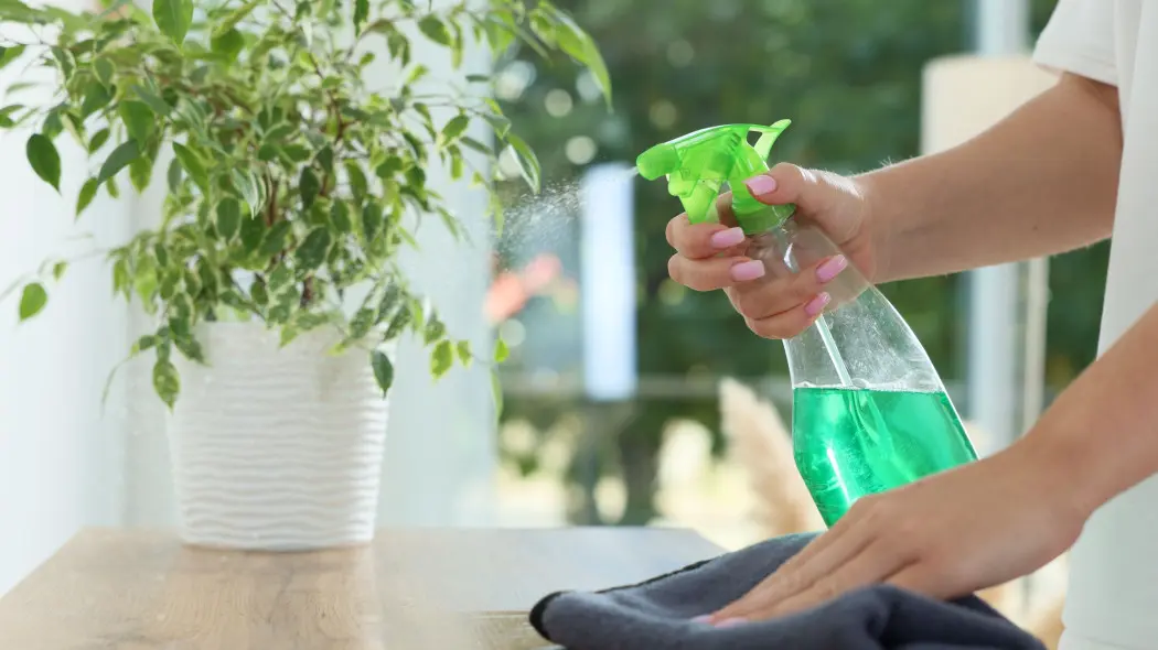 Jak sprzątać przy roślinach doniczkowych