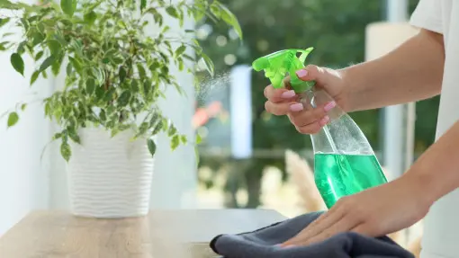 Jak sprzątać przy roślinach doniczkowych: proste zasady, zero uszkodzeń