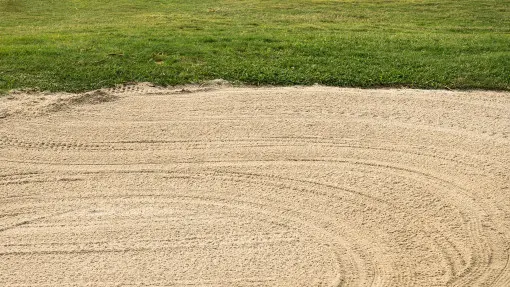 Piasek do trawnika – jaki wybrać i po co rozsypywać piasek na trawniku?