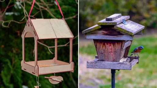 Karmniki wiszące czy stojące? Sprawdź, co naprawdę wolą ptaki