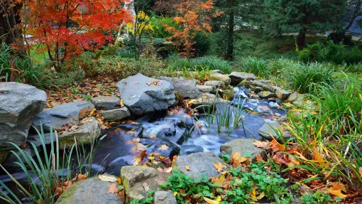 Ogród z naturalnym strumieniem – jak go zbudować, by cieszył, a nie sprawiał kłopotów