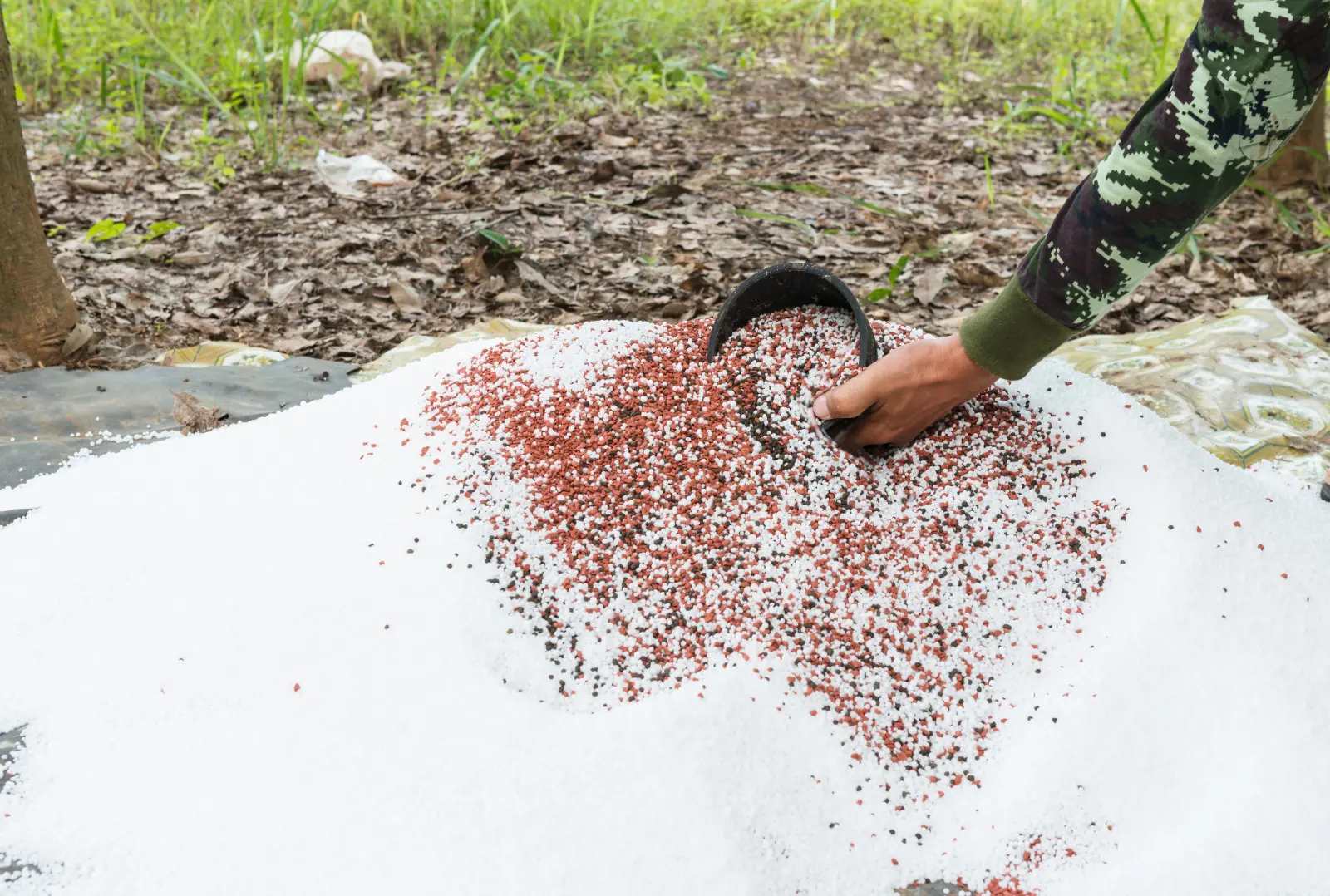 Nawożenie po sezonie (w listopadzie i grudniu) i przed sezonem (w styczniu i lutym). Jak i czym to robić, by nie szkodzić?