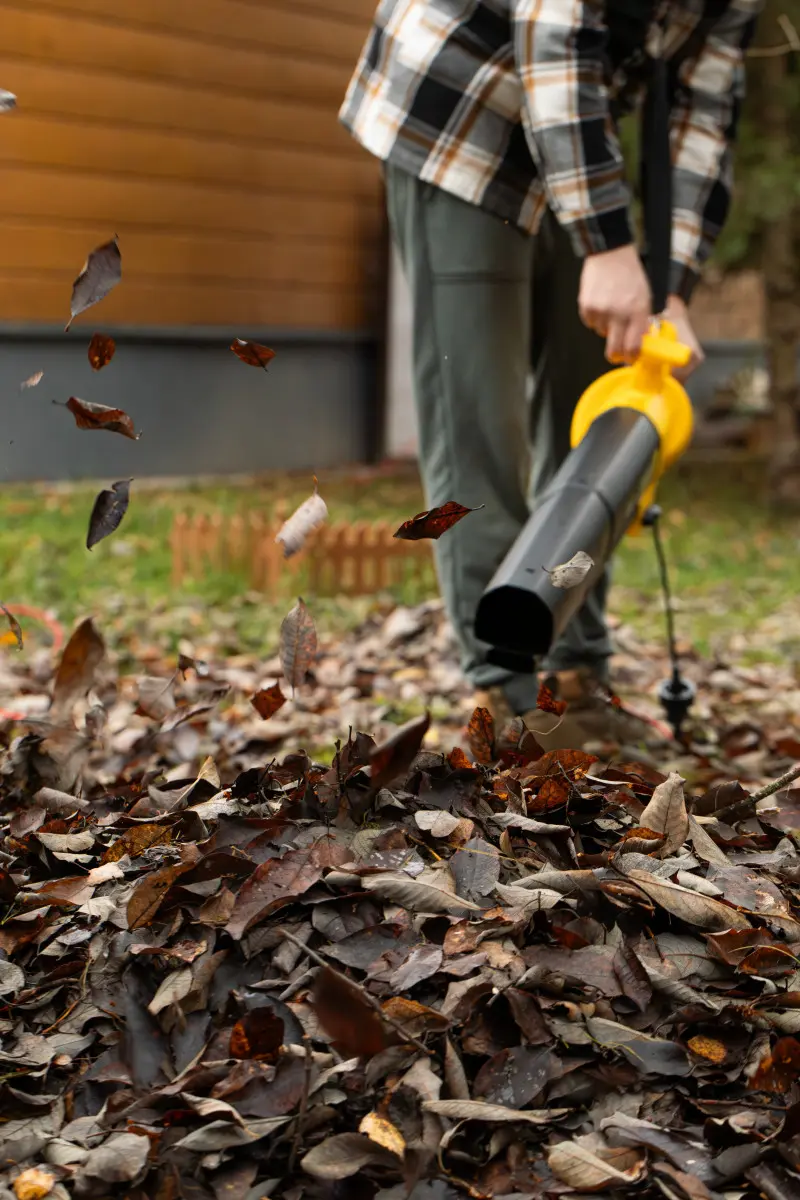 Czyszczenie trawnika dmuchawą do liści jesienią – jak używać dmuchawy, by nie zniszczyć darni