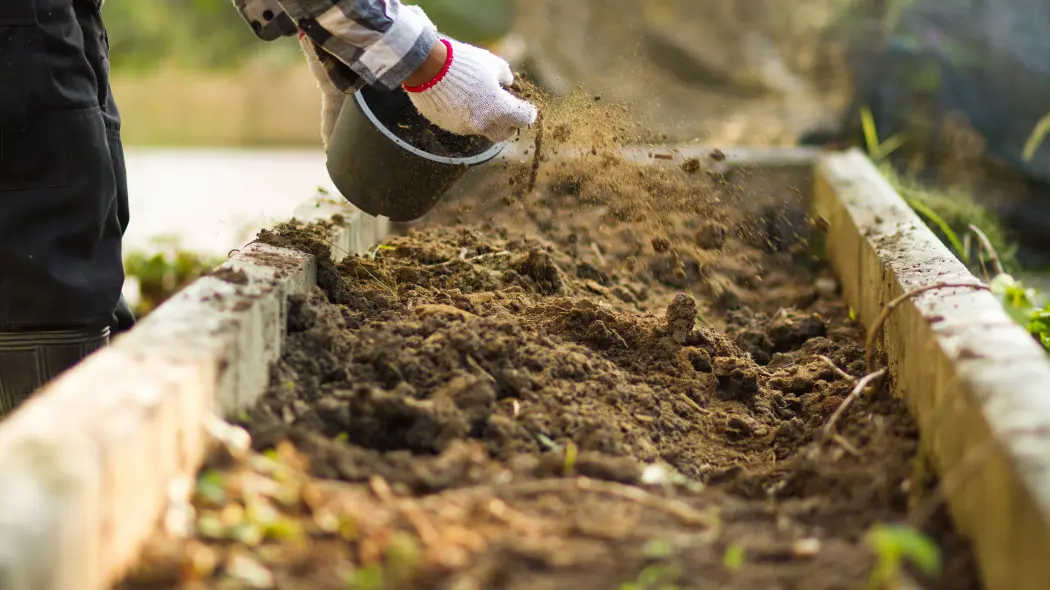 Co dodać do ziemi, by nie zamieniła się w jałową skorupę