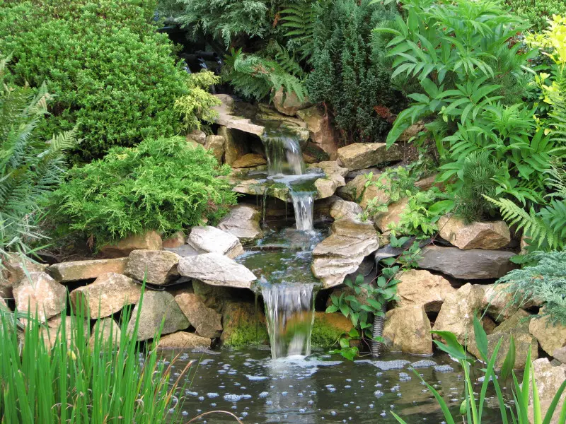 Naturalistyczny ogród z kamiennym wodospadem i gęstą zielenią – kaskada wśród paproci, jałowców i funkii