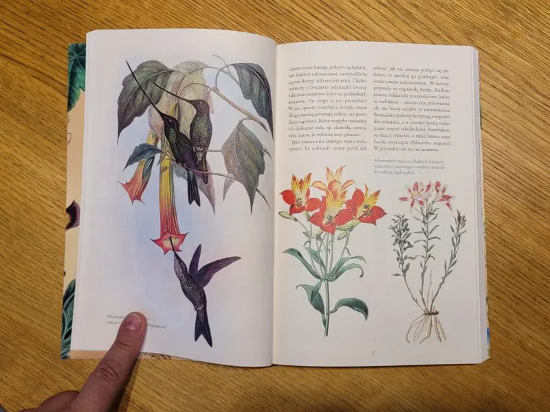 Tajemnicze życie roślin - recenzja nowej książki Michała Mazika